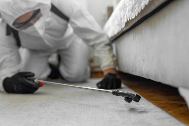 Professional Bed Bug Control technician working in Wewahitchka, FL